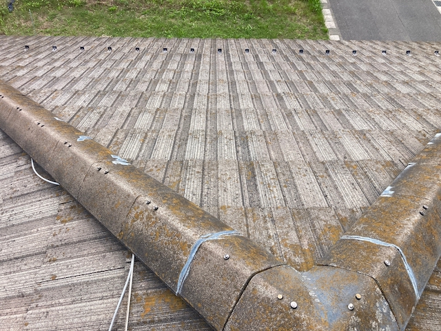 棟の様子・別箇所